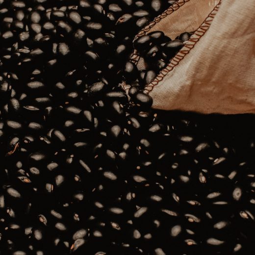 Fabas negras de Legumbres Tino